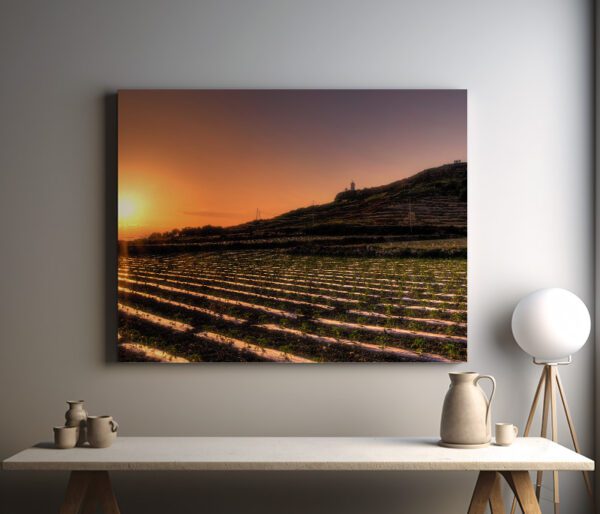 Canvas: Maltese Countryside Sunset: Fields of Radiance