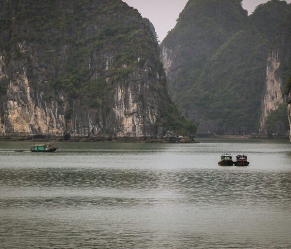 Canvas:  Dawn Tranquility: Halong Bay Fishing Boat