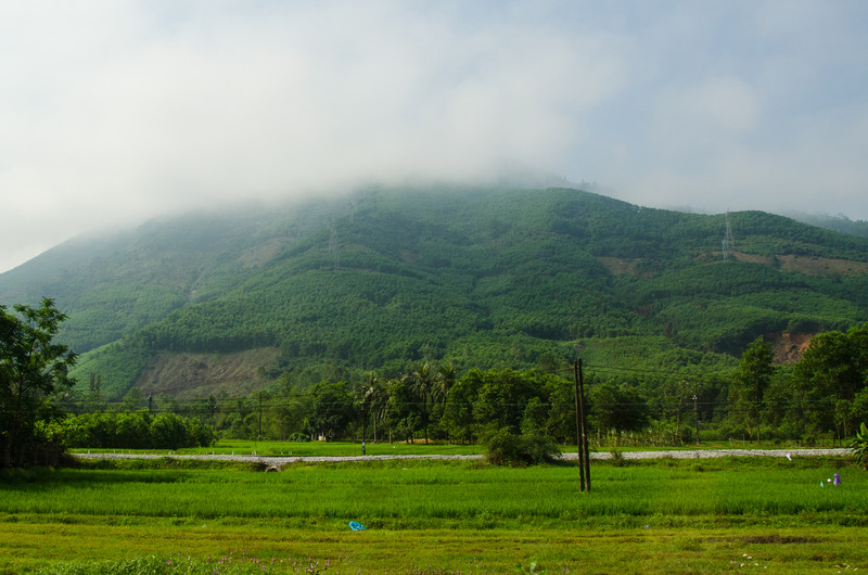 Canvas:  Serene Horizons: Verdant Vietnam