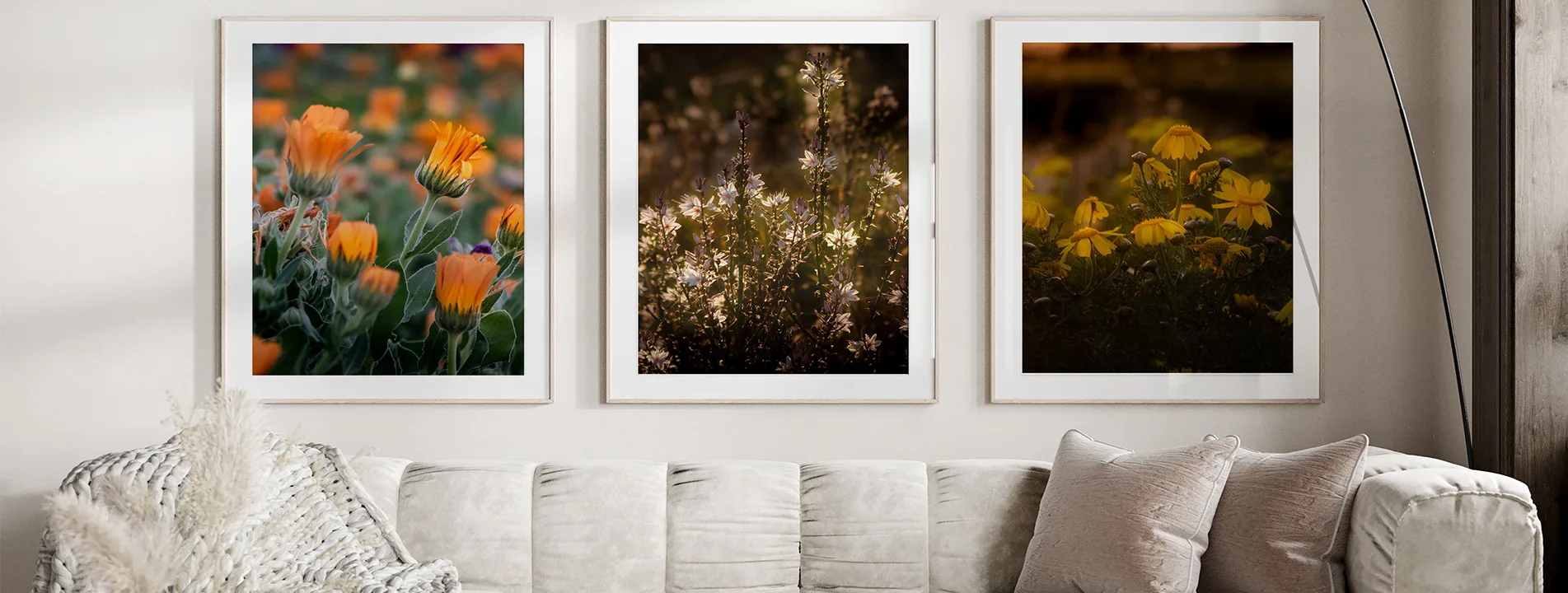 three hanged frames with photos of flowers above a white sofa