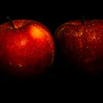 closeup of 2 red apples with water droplets and black background