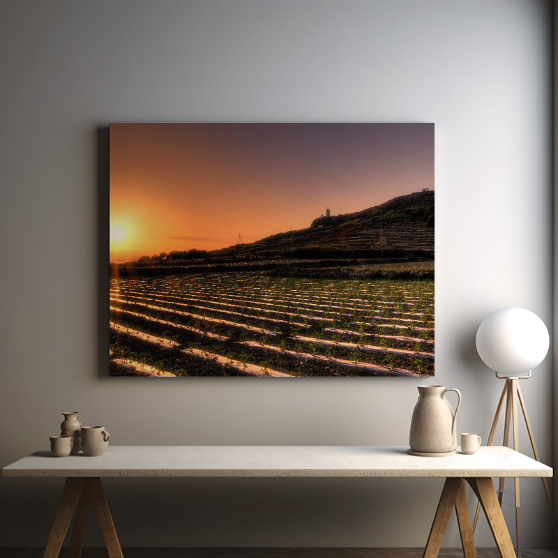 Sunset Fields Gozo