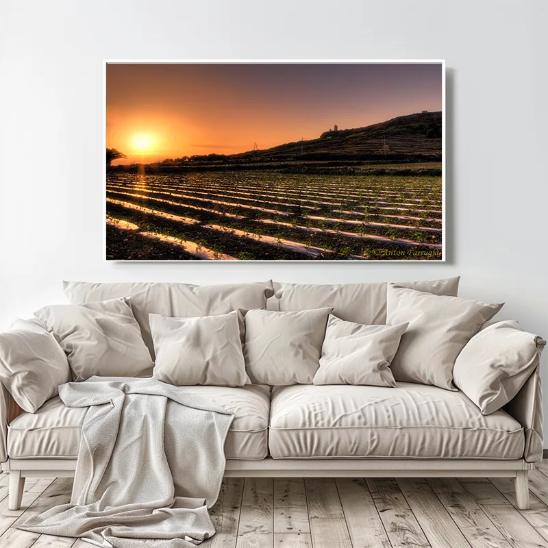 Malta Canvas Print |  Sunset Fields Gozo hanged over a white sofa