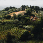 Tuscany countryside including Cypress trees, some fields over a hill and greenery