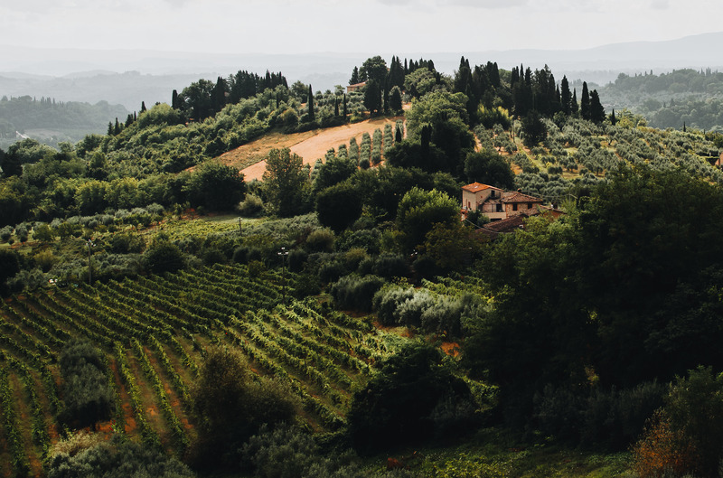 Tuscany countryside including Cypress trees, some fields over a hill and greenery