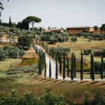 Tuscany countryside view with s curve side road and cypress trees