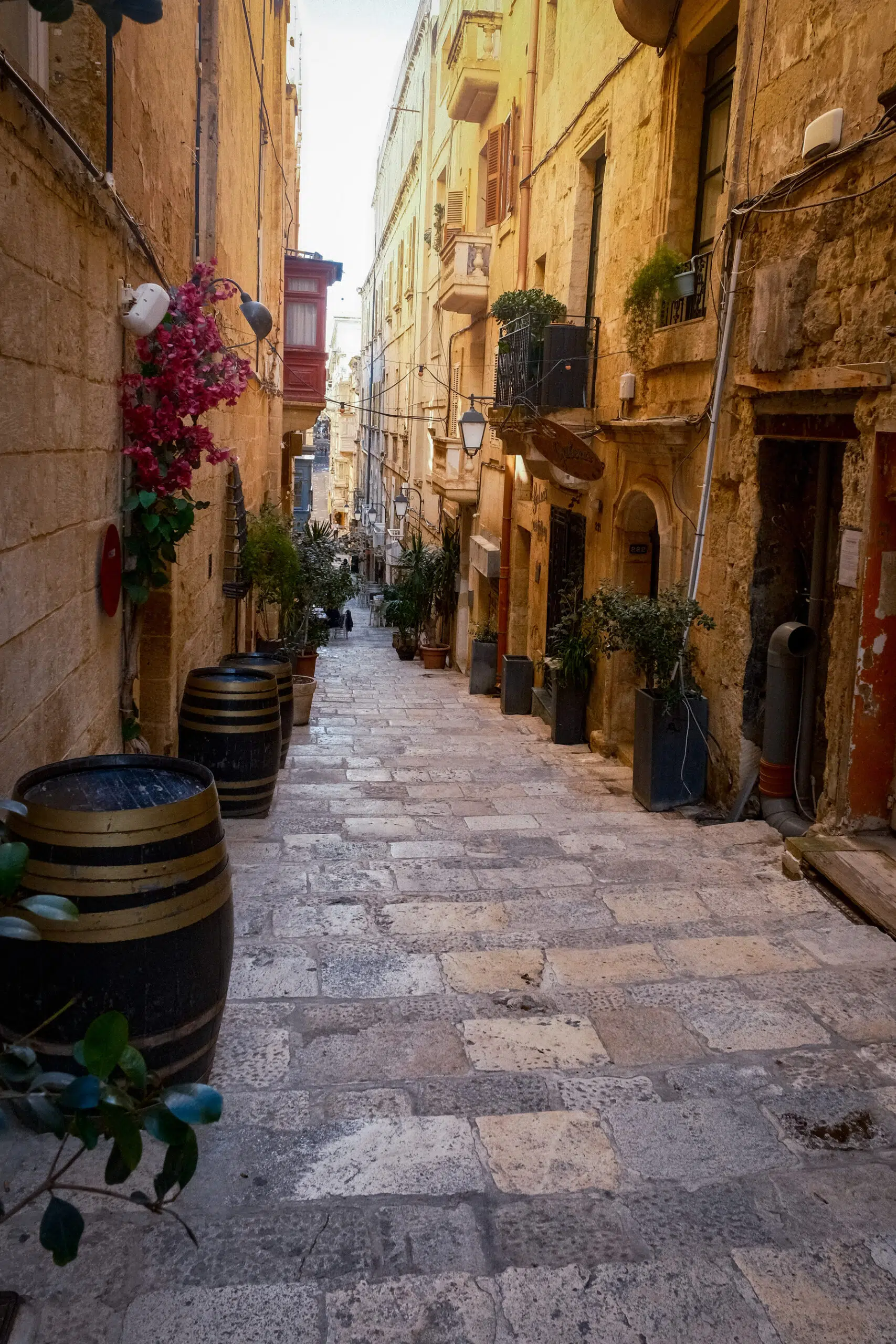 picturesque narrow street in Valletta featuring vibrant flower pots and quaint buildings on either side.