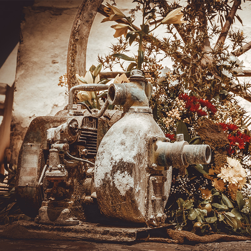 Maltese Rustic Machine - Wall Art