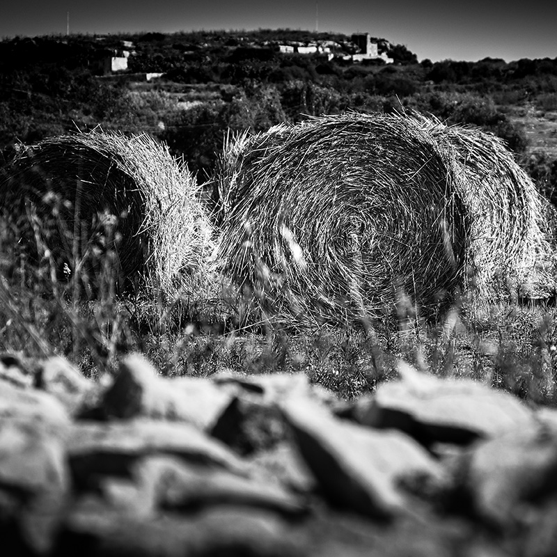 Black and white photo of round hay bales in a rural Gozitan landscape.