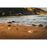 Gozo Ramla Bay Pebbles - Malta Wall Art