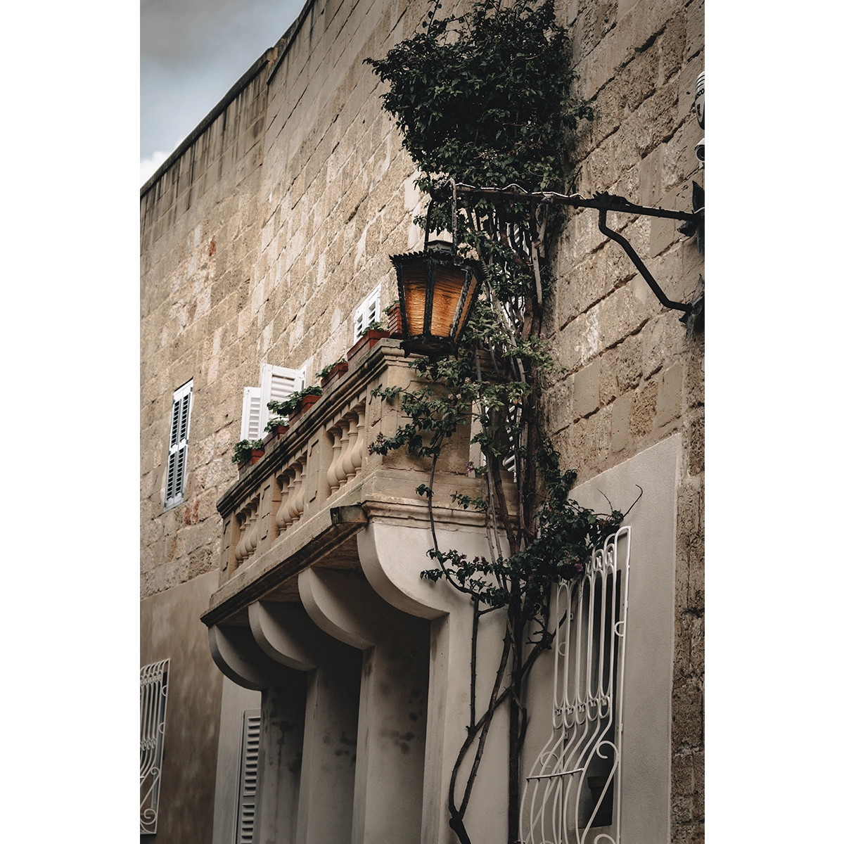 Malta Mdina Ivy Lantern- Wall Art