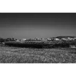 Black and white farmland with greenhouses and town