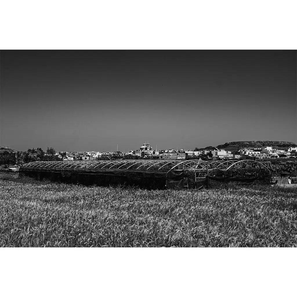 Black and white farmland with greenhouses and town
