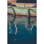 Weathered turquoise boat with ropes reflected in calm water