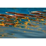 Colorful boat reflections ripple across blue water