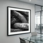 Framed black-and-white boulder photograph in modern conference room