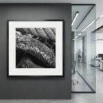 Framed black-and-white textured artwork beside glass office partition