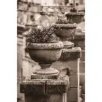 Sepia stone urn planter with succulent on pedestal